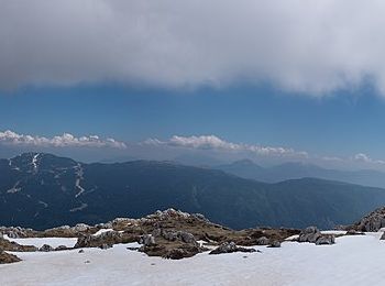 Excursión A pie Molveno - IT-O344B - Photo