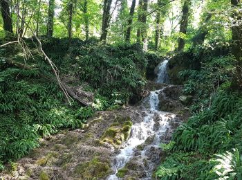 Excursión Senderismo Serrières-en-Chautagne - Le sentier du Châtaigner - Photo