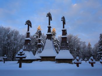 Randonnée A pied Zdynia - Regietów - Ług - Photo