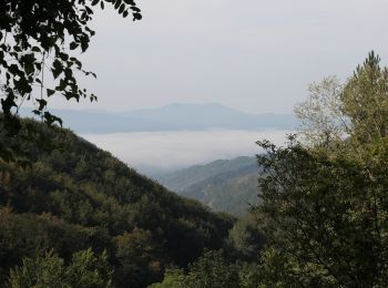 Tocht Te voet Borgo San Lorenzo - IT-PAF16 - Photo