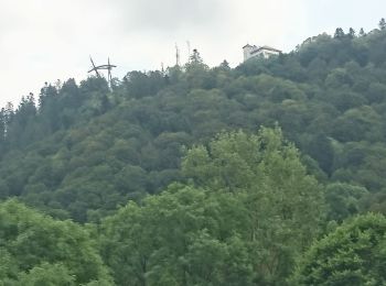 Percorso Marcia La Bourboule - Charlannes par Fohet retour sur parc fenestre par descente sous ancien funiculaire 2019-07-02 - Photo