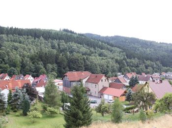 Randonnée A pied Schleusegrund - Rundwanderweg Panoramablick - Photo