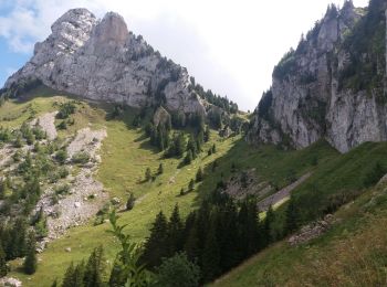 Excursión Senderismo La Roche-sur-Foron - GLIERES / BORNES: LE CHESNET - SUR COU - COL DU FREU - Photo