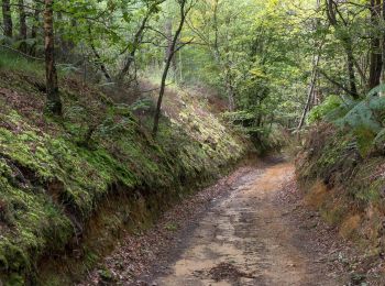 Tocht Stappen Bretoncelles - SityTrail - La butte du château Bretoncelles 15,0 Km - Photo