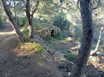 Tour Wandern Bize-Minervois - balade à Bize Minervois - Photo