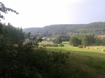 Tocht Te voet Karłów - Ścieżka Skalnej Rzeźby - Photo