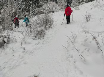 Excursión Raquetas de nieve Villard-de-Lans - de l'eau - Photo