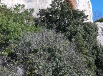 Excursión Senderismo Belcodène - ruisseau du toneau - Photo