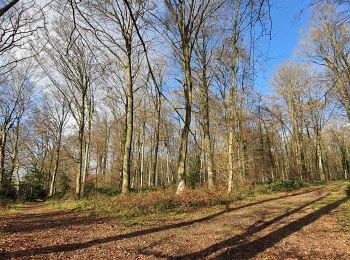 Randonnée Marche Martagny - Martagny, forêt domaniale de Lyons et le monument de la Rougemare - Photo