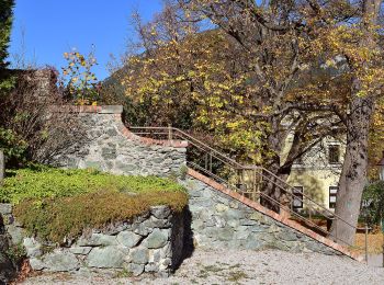 Randonnée A pied Gemeinde Breitenstein - Payerbach - Sommerhöhe - Breitenstein - Photo