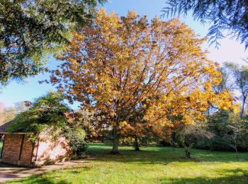 Percorso Marcia Bouray-sur-Juine - Boucle autour de Bouray/ Juine et Chamarande - Photo