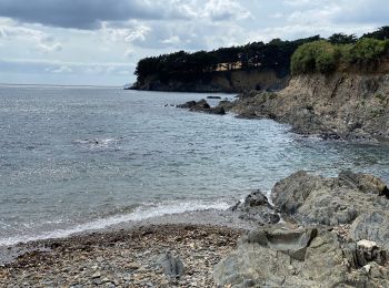 Tocht Stappen Saint-Nic - Pentrez chapelle de langelitte  - Photo