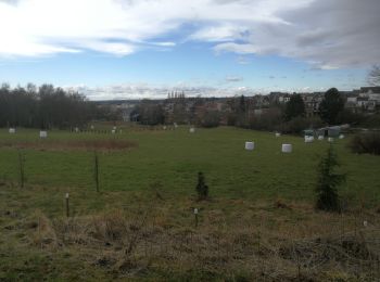 Tocht Wegfiets Luik - Vélo de Grivegnée à Vaux - Photo