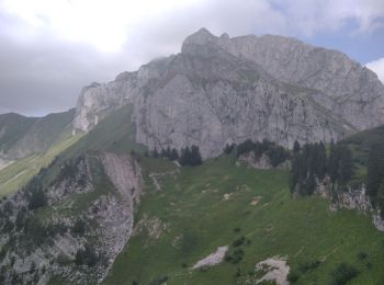 Excursión Senderismo Vacheresse - tour entre la vallée de Bise et d'Ubine - Photo