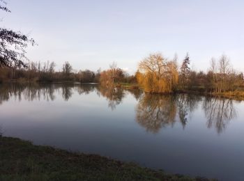 Tocht Stappen Allennes-les-Marais - Allennes les Marais Don - Photo