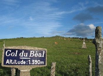 Tocht Stappen Saint-Pierre-la-Bourlhonne - 2022-06-13_09h19m59_LE COL DU BEAL - Photo