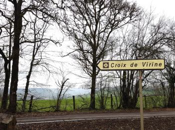 Randonnée Marche Bouxières-aux-Bois - Bouxieres-aux-bois : Le circuit de Virine - Photo