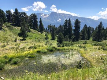 Trail Walking Chamrousse - Chamrousse 20-07-2021 - Photo