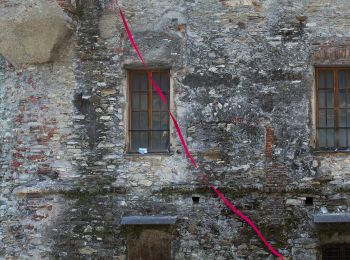 Percorso A piedi Rapallo - Rapallo - Santuario di Montallegro - Photo