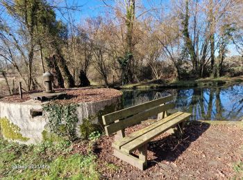 Excursión Senderismo Aillant-sur-Milleron - aillant sur milleron 45 - Photo