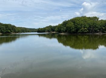 Percorso Marcia Saint-Vincent-sur-Graon - Lac du Graon - Photo