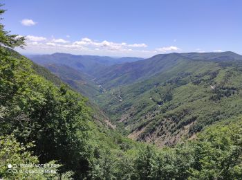 Percorso Bici da strada Meyrueis - Meyrueis - Aigoual - Photo