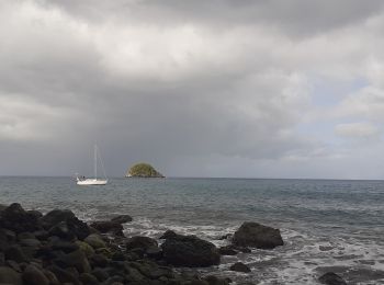 Randonnée Marche Le Prêcheur - Anse couleuvre Grand Rivière  - Photo