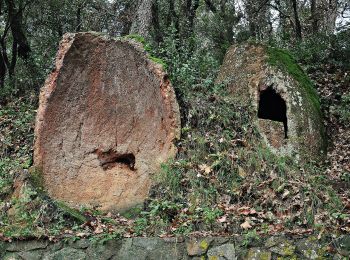 Randonnée A pied Sant Celoni - SL-C 110 Vallgorguna-Olzinelles - Photo