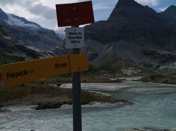 Excursión Marcha nórdica Evolène - glacier Miné  - Photo