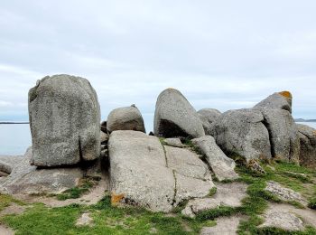 Trail Walking Trédrez-Locquémeau - Bretagne nord J7 / De Locquémeau à Lannion - Photo