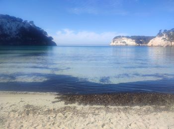 Tour Wandern Ferreries - Cala Galdana – Son Xoriguer - Photo