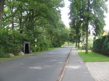 Randonnée A pied Soltau - Wanderweg Tanne - Photo