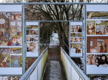 Tocht Te voet Markdorf - Wanderwege Markdorf: Hasenweg - Photo