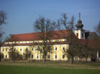 Randonnée A pied Steyregg - Donau-Höhen-Rundwanderweg - Photo