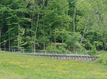Tour Zu Fuß Gemeinde St. Georgen an der Leys - Sonnbergrunde - Photo