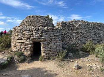 Tour Wandern Salon-de-Provence - PF-Salon de Provence - Les bories du Tallagard - MDu - Photo