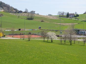 Randonnée A pied Rechberg - Weg Schwammerling - Photo