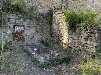 Percorso Marcia Vernègues - PF-Vernègues - Boucle dans le passé antique de Vernègues - Photo