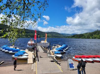 Trail Walking Hinterzarten - Hinterzarten - Titisee - Photo