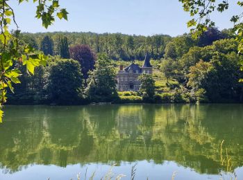 Randonnée Marche Hastière - Flânerie en bord de Meuse - Photo