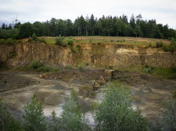 Tocht Te voet Wildon - Hengist Kulturwanderweg Weitendorf - Photo