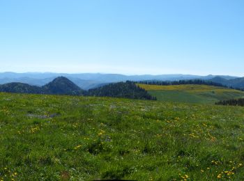 Trail Walking Saint-Martial - Tour des sucs :Sepoux-Seponet-Sommet Lauziére-Taupernas - Photo