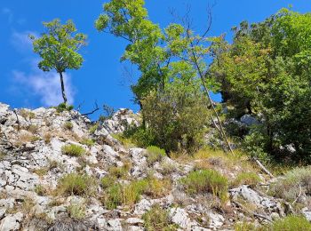 Tour Wandern Bagni di Lucca - Aller-retour Vico Pancellorum - Schiena d'Asino - Photo