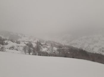 Randonnée Marche La Bresse - la bresse - le moutier des fées  - Photo