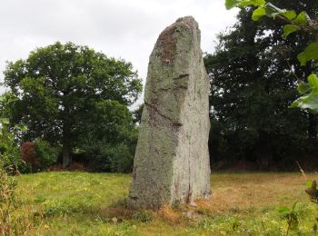 Tocht Te voet Iffendic - La Pierre Longue - Photo