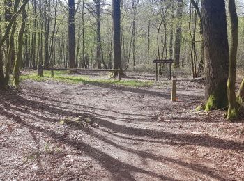 Tour Wandern Momignies - Seloignes chemin des princes - Photo