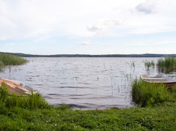 Trail On foot  - I Posta-Nillas spår - Photo