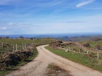 Trail Walking Saint-Chély-d'Aubrac - Aubrac st Come d'olt st Jacques  - Photo