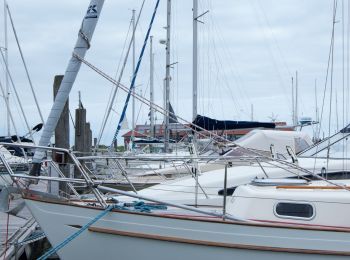 Tocht Te voet Norderney - Promenadenrundweg - Photo