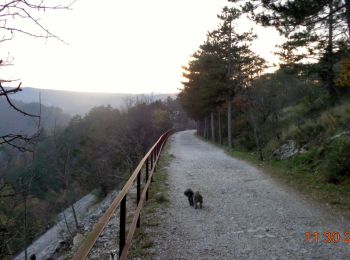 Trail On foot Triest - IT-17 - Photo